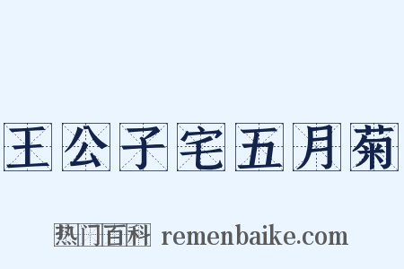 王公子宅五月菊是什么意思的图片